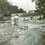 Middle Springs Picnic, c.1895