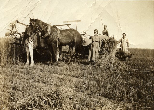 Horse Drawn Threshing Machine - Cumberland County Historical Society