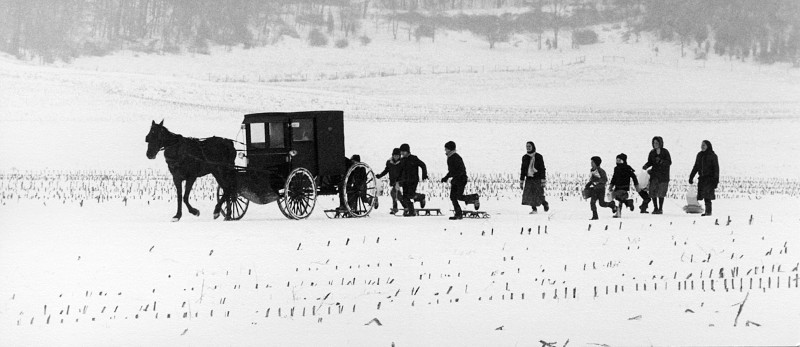 Kids Sledding next to Carriage