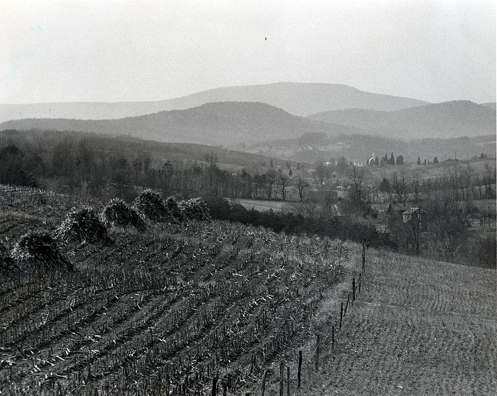 Blue Mountain Ridges