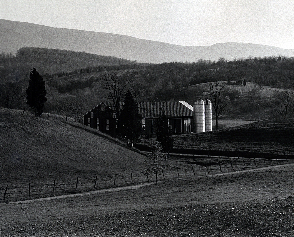 Valley Scene