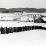 Farm scene