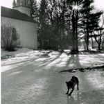 Exterior view of snowy church with dog in the yard