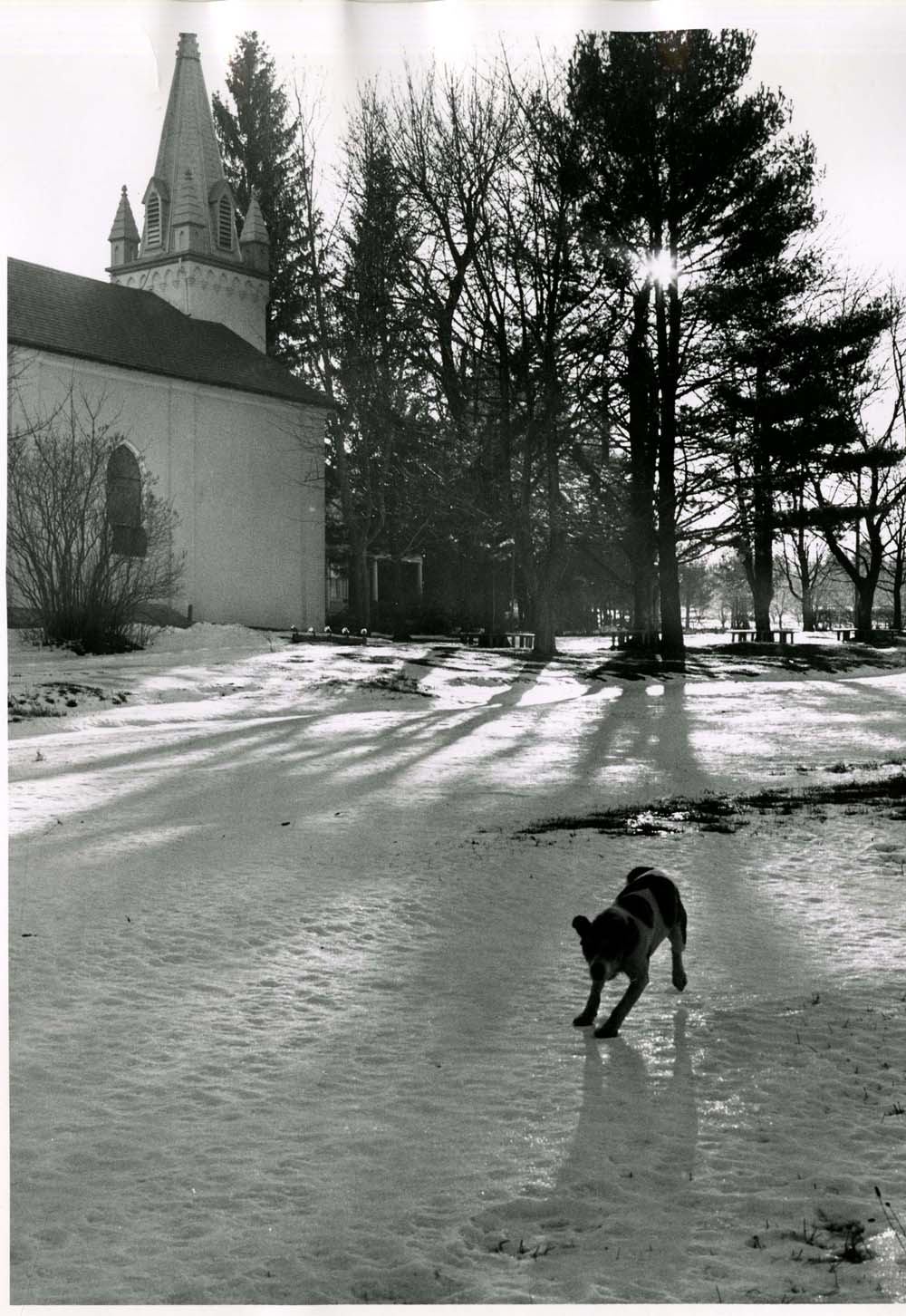 Exterior view of snowy church with dog in the yard