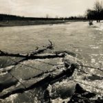 March Thaw in the Meadow , on a Farm South of York Springs