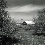 Scene on Apple Orchard Road, Near Aspers