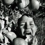 Michael J McCartney; 7 - Chomps into a Juicy Red Delicious