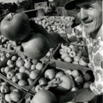 Harold Emlet Jr., Aspers - Loads Wagon w/ Apples in Orchard