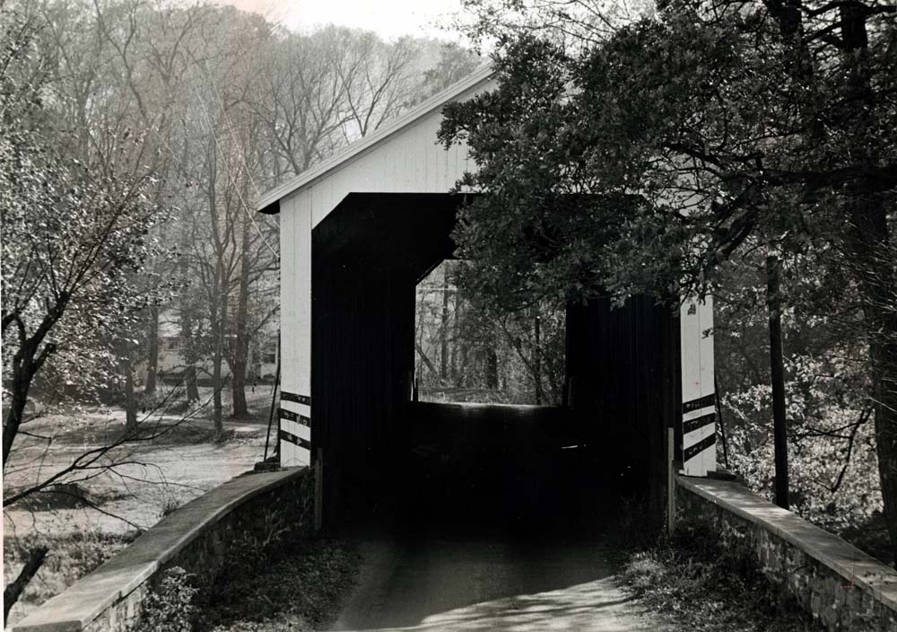 Quiet Autumn Setting