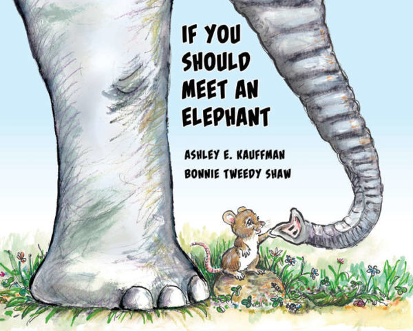 Cover of If You Should Meet an Elephant