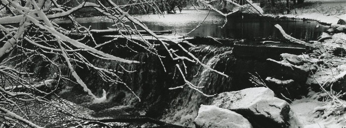 Mountain Creek at Holly Gap