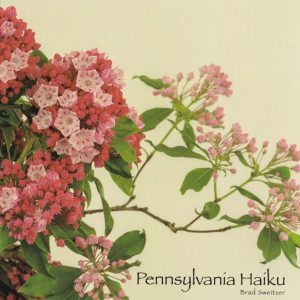 PA Haiku Cover