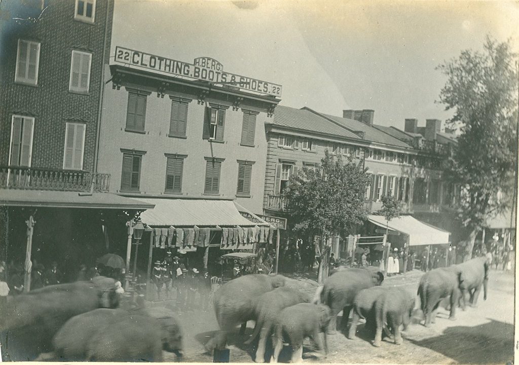 Circus Parade with Elephants on North Hanover Street